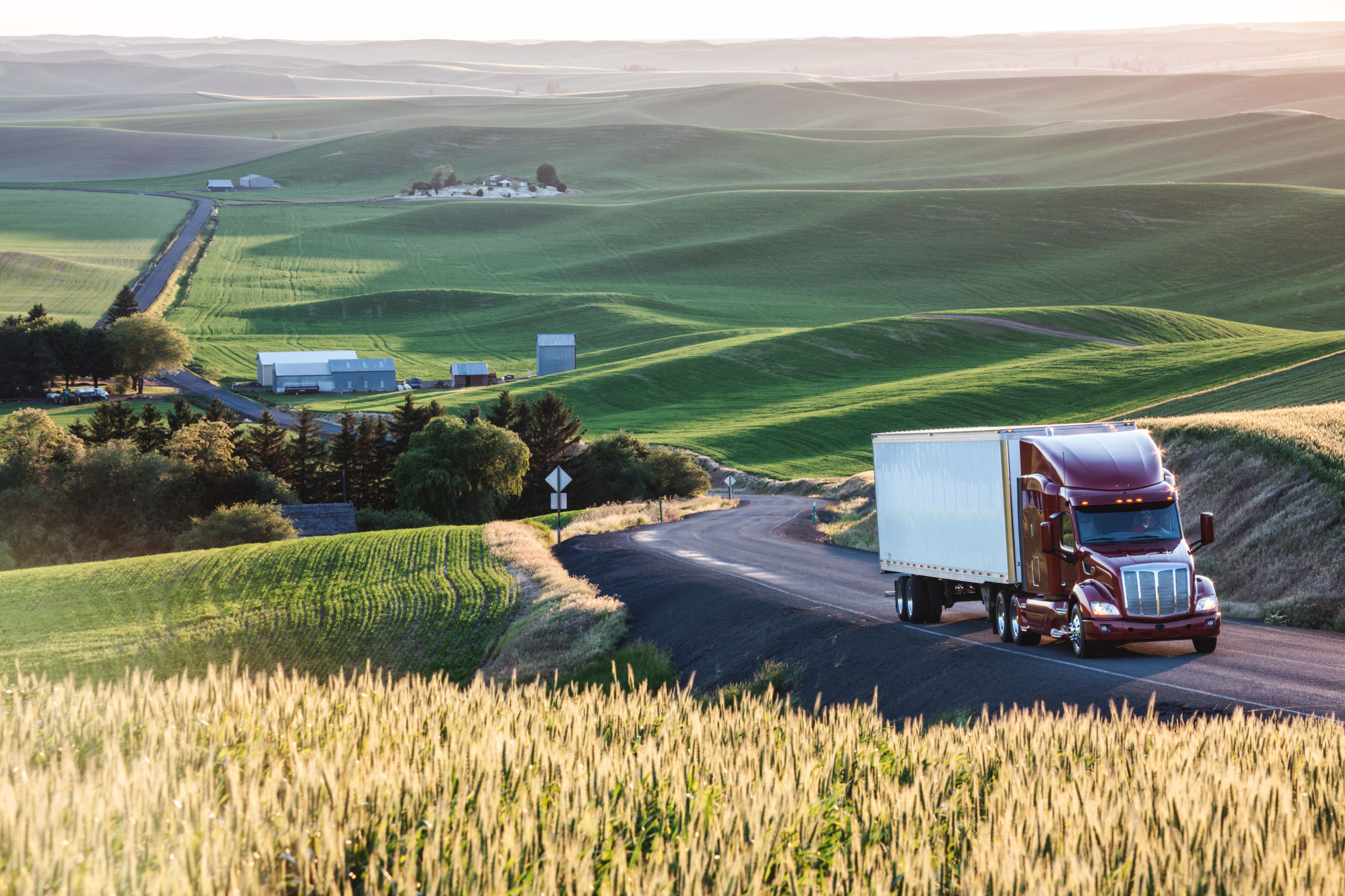 commercial truck-driving-though-wheat-fields-of-ea-2023-11-27-04-50-04-utc